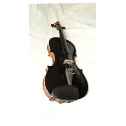 خرید ویولن آکوستیک هوران HOORAN کلاس C - برترین ساز