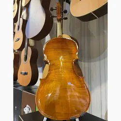 خرید ویولن پائولو مگینی Maggini - برترین ساز