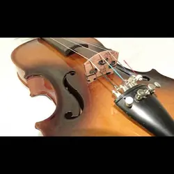 خرید ویولن HOORAN هوران مدل 55 سه چهارم کهربایی سایه دار براق - برترین ساز