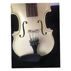 خرید ویولن HOORAN هوران مدل 77 سفید براق چهارچهارم - برترین ساز