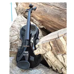 خرید ویولن HOORAN هوران مدل 22 دو چهارم یا یک دوم مشکی براق - برترین ساز