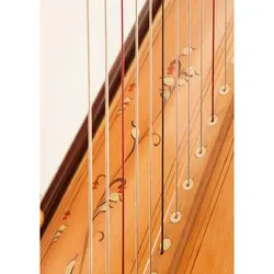 خرید چنگ عباسی 40 سیم مدل اهورا منبت طلایی - برترین ساز