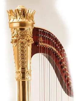 چنگ عباسی 40 سیم اهورا طلایی آکبند