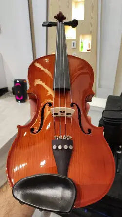 ویولن پاگانینی Paganini 1500 آکبند