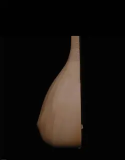تنبور سلطان آکبند