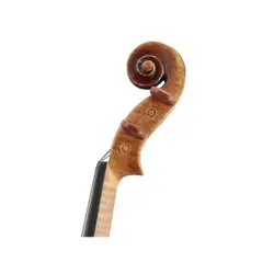 ویولن آکوستیک رودریش Roderich Paesold PA 805 کارکرده تمیز