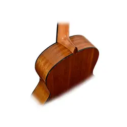 گیتار کلاسیک سویا Sevilla 220