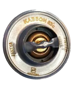 ترموستات زانتیا 83 درجه - کبسون