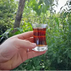 چای قلم لیزری بدون ساقه(5کیلویی)بهاره 1402