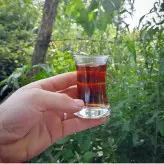چای قلم لیزری بدون ساقه(5کیلویی)بهاره 1402