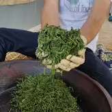 چای دستی سنتی بهاره لاهیجان 1402 یک کیلویی