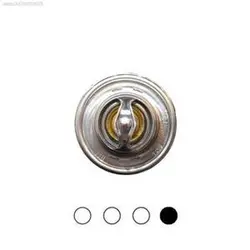 ترموستات 75 درجه پژو 405 ماهله mahle 145875