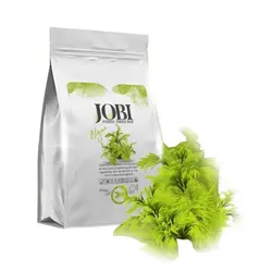 ماسک هیدروژلی جلبک جوبی 250 گرم