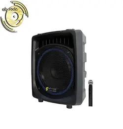 اکو همراه 12 اینچ برین صوت مدل Barin-12200 با میکروفن