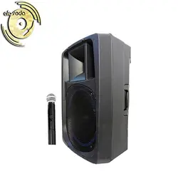 اکو همراه 12 اینچ برین صوت مدل Barin-3695 با میکروفن