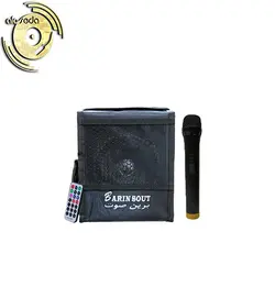 اکو همراه 5 اینچ برین صوت مدل Barin-1530WI با میکروفن