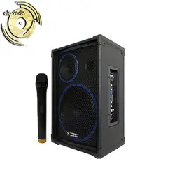 اکو همراه باسیم 12+6 اینچ برین مدل Barin-12250 با میکروفن