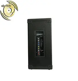اکو همراه باسیم 12+6 اینچ برین مدل Barin-12250 با میکروفن