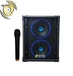 اکو آمپلی فایر برین صوت مدل 2660 با میکروفن