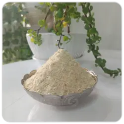 آرد سوخاری مهرگل فله