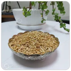 گندم مهرگل فله