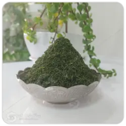 شوید اعلا مهرگل فله