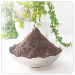 هات چاکلت فله مهرگل