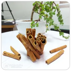 دارچین سیگاری مهرگل فله