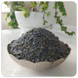 اسطوخودوس فرانسوی مهرگل فله | لوندر