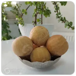 هندوانه ابوجهل مهرگل فله