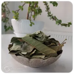 برگ انبه مهرگل فله