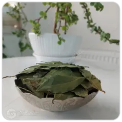 برگ بو مهرگل فله