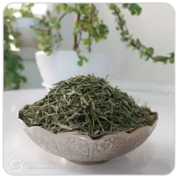 رزماری مهرگل فله