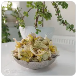 گل ختمی سفید مهرگل فله