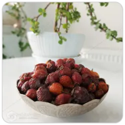 میوه نسترن مهرگل فله