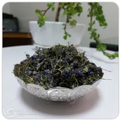 گل بنفشه مهرگل فله