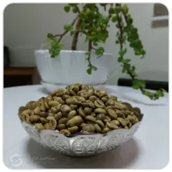 دانه قهوه سبز مهرگل فله