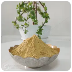 پودر زنجبیل مهرگل فله