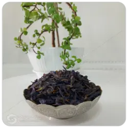 گل گاوزبان شمال مهرگل فله