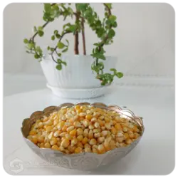 ذرت تیبا سفید مهرگل فله