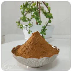 پودر دارچین مهرگل فله