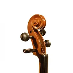 خرید ویولن TF تی اف مدل 142 سه چهارم - ساز پیانو