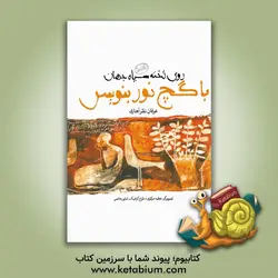 روی تخته سیاه جهان با گچ نور بنویس