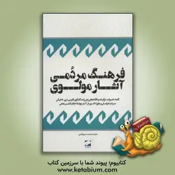 فرهنگ مردمی آثار مولوی: کلمه، تعبیرات، ترکیبات و افاده های زبان زنده گفتگوی فارسی دری - تاجیکی مردم خراسان و ماوراءالنهر در آثار مولانا جلال الدین بلخ