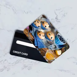 استیکر کارت بانکی مدل خوراکی کد CAC85-K