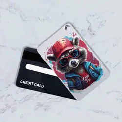 استیکر کارت بانکی مدل راکت راکون کد CAD102-K