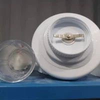 هونگ گوشت مولینکس