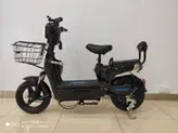 موتور سیکلت برقی ( اسکوتر برقی ) پاکشتی دو‌ نفره E.BIKE رنگ‌ مشکی