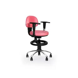 صندلی آزمایشگاهی مدل D.R106 i.F انرژی
