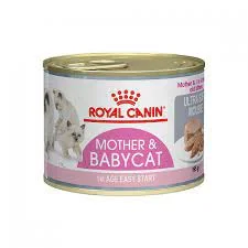 کنسرو رویال کنین مادراند بیبی گربه - 🥇 قیمت خرید فروش | فرچه